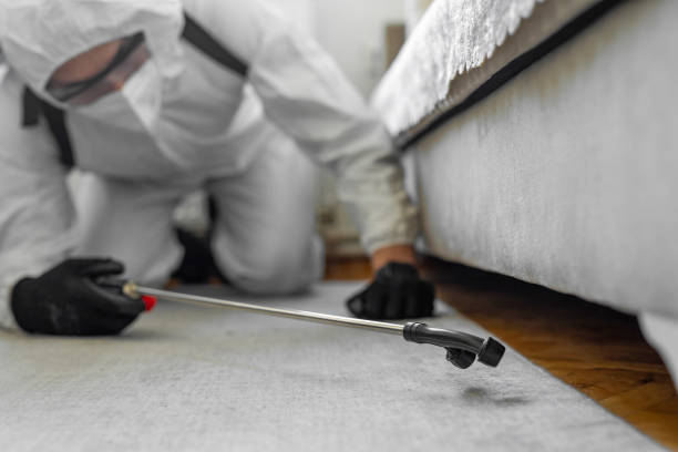 Professional Termite Control technician working in Ironwood, MI