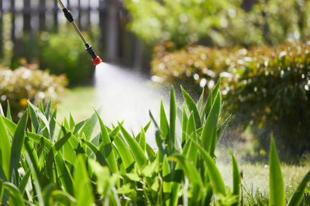 24/7 Emergency Termite Control experts in Ironwood, MI
