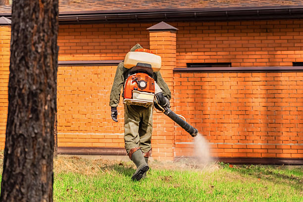 Trusted Termite Control service in Ironwood, MI - Nex Pest Control